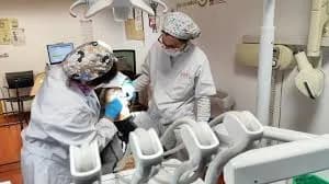 Imágenes de servicio de Odontología Arguello 3