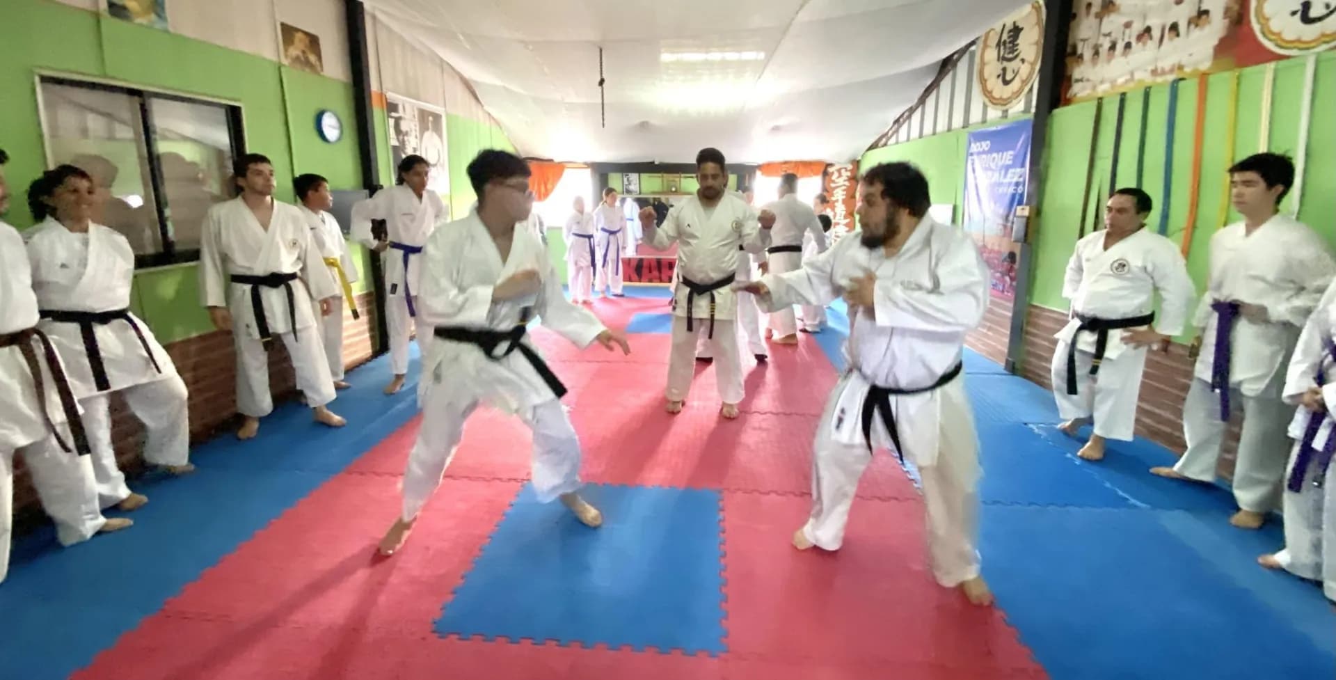 Imágenes de servicio de Karate Do srl 5