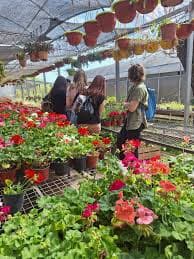 Imágenes de servicio de Vivero 2